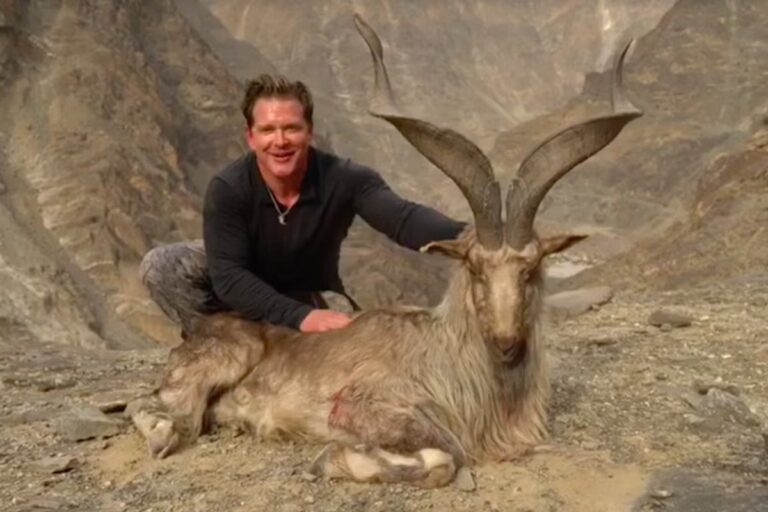 American Hunter Pays $52,000 to Hunt Rare Markhor in Pakistan!