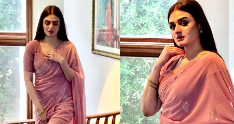Hira Mani Shines in a Stunning Saree!